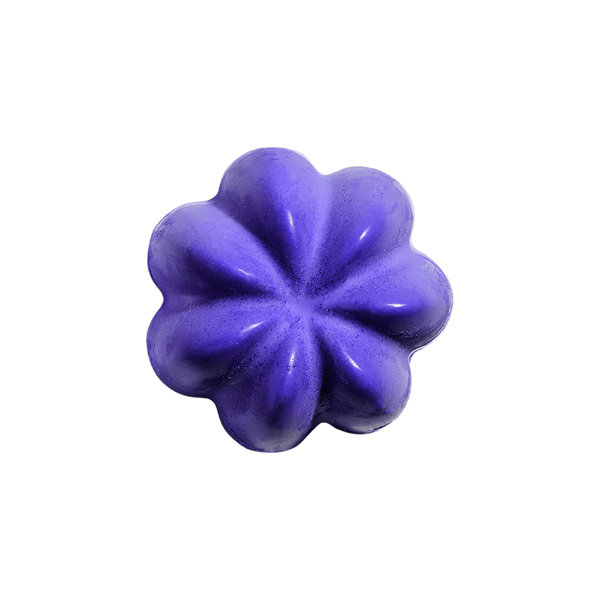 Shampoing Violet